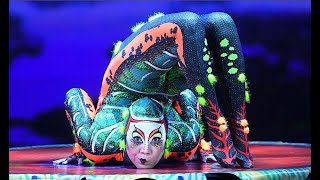 Contortion Solo Act  TOTEM by Cirque du Soleil  Mongolian Contortionist Oyuna Senge [upl. by Esele]