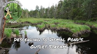 Descending to Dismal Ponds Outlet Stream  Five Ponds Wilderness [upl. by Annahtur355]