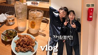 Vlog 아기 둘 맡기고 10년지기 친구랑 호캉스 호텔 안테룸 서울 가로수길 이자카야 추천 자유부인데이 어린이날 선물 키즈파티룸 [upl. by Nosmas]