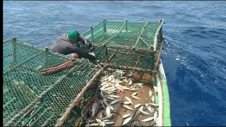 Bom de pescaria no mar da Paraíba para os Mamutes Guerreiros da pesca [upl. by Anne-Marie]