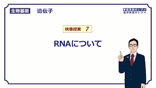 【生物基礎】 遺伝子7 RNAについて （１３分） [upl. by Vala]