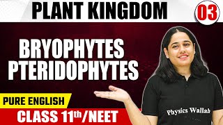 PLANT KINGDOM 03  Bryophytes amp Pteridophytes  Botany  Pure English  Class 11thNEET [upl. by Aleetha]