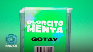 Gotay quotEl Autentikoquot  Olorcito a Menta Lyric Video [upl. by Ynotna]