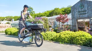 HASE BIKES PINO 2021  das neue Pino [upl. by Ertemed]