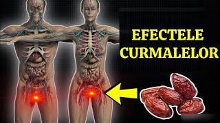 DOAR 3 CURMALE ZILNIC VOR DECLANȘA PROCESE IREVERSIBILE ÎN ORGANISMUL TĂU [upl. by Sousa29]