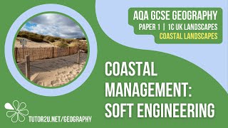 Coastal Management Soft Engineering Strategies  AQA GCSE Geography  Coastal Landscapes 11 [upl. by Haneehs153]