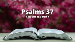 Psalms 37  King James Version Audio Bible [upl. by Acirtap]