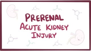 Prerenal acute kidney injury acute renal failure  causes symptoms amp pathology [upl. by Noyad]