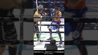 Naoya Inoue vs Nonito Donaire 2  井上尚弥 vs ノニト・ドネア 2 [upl. by Nairim]