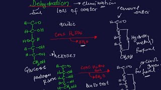 Dehydration of Monosaccharides  Furfural derivatives [upl. by Lynette736]