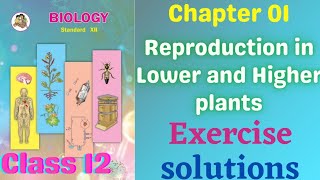 Reproduction in lower and higher plants class 12 biology exercise solutions [upl. by Aicella967]