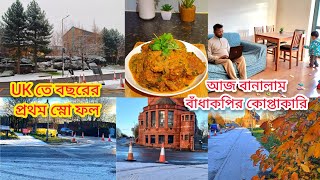 UK তে বছরের প্রথম স্নো ফল হলো পুরো শহরটা সাদা চাদরে ঢেকে গেলো। আজ বানালাম বাঁধাকপির কোপ্তাকারি [upl. by Thorma]