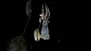 Spider Molting viralvideo gagamba spider fyp trending [upl. by Celestia138]