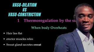 Homeostasis Vasodilation Vs Vasoconstriction [upl. by Odlamur]