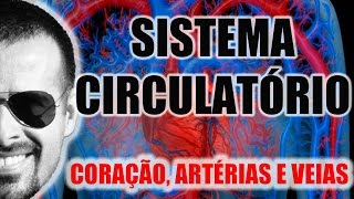 Sistema Circulatório  O coração as artérias e as veias  Anatomia Humana  VideoAula 003 [upl. by Mulry]