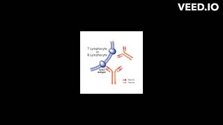 Alemtuzumab mode of action [upl. by Calida657]