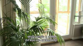 English  Environmental sustainability A1A2  with subtitles [upl. by Tony]