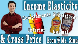 Cross Price Elasticity amp Income Elasticity [upl. by Michi585]