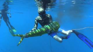 WettieTV  Mexico Spearfishing Adventures [upl. by Rehpinej]