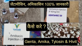 Genta Amikacin Injection for Poultry  इंजेक्शन की डोज़ कैसे बनाएं  Tylosin For Broiler [upl. by Salim]