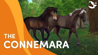 Meet the Connemara 😍🌟  Star Stable Breeds [upl. by Butte686]