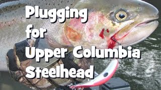 Plugging for Upper Columbia Steelhead [upl. by Vinn]