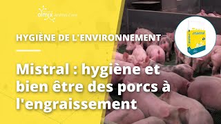 Mistral Olmix solution pour lhygiène et le bien être des porcs à lengraissement [upl. by Eusebio]