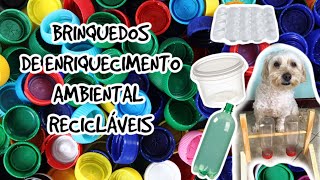 Brinquedos recicláveis de Enriquecimento Ambiental para o seu cão [upl. by Gnouhk]