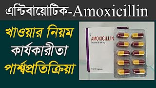 Amoxicillin 500 এর কাজ কি  amoxicillin 500 mg capsule bangla  Amoxicillin review in bangla [upl. by Pacifa563]