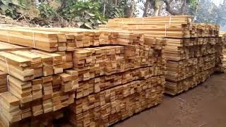 IMPORTED TEAK WOOD  GANDHIDHAM [upl. by Yttig]