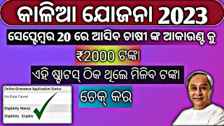 Kalia Yojana Eligibility Status Check  Kalia Yojana Ekyc  Kalia Yojana Money Transfer Date Odisha [upl. by Taro180]