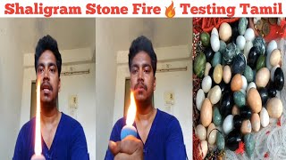 how to test shaligram stone in tamil  shaligram stone and sulaiman stone deference [upl. by Kenti]