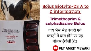 Bolus biotrim Ds uses in cattleVeterinary bolus Trimethoprim amp sulphadiazine सम्पूर्ण जानकारी [upl. by Akire341]