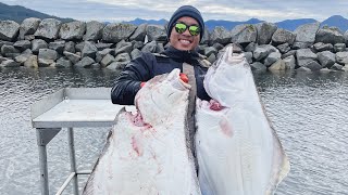 Fishing in Alaska  We Caught a 50lb and a 70lb Halibut [upl. by Peppi512]