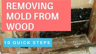 Proven Ways To Remove Mold From Wood How To Remove Mold Inside Walls [upl. by Yliak]