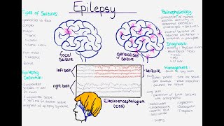 Understanding Epilepsy Pathophysiology Seizure Types Diagnosis Treatment Prevention 1st aid [upl. by Acimak]