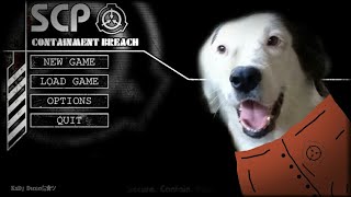 SCP 939 Test Log  02 Meme Containment Breach Alarm [upl. by Ji963]