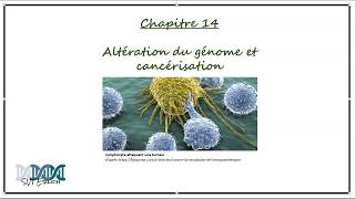 SVTErlich 1ère Spé  Chapitre 14  Altération du génome et cancérisation [upl. by Jacynth]