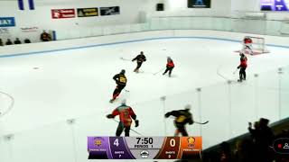 Fridlund With a Nice Snipe to Pull a Goal Back  PIHA Pro [upl. by Woodrow]