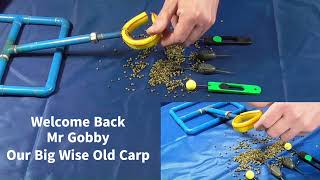 How The Zebedee helps with short rigs and solid PVA bags [upl. by The297]