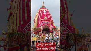 Sri Gundicha Rath Yatra 2024 jagannath puri rathyatra viral video shorts short shortvideo [upl. by Ruddy]