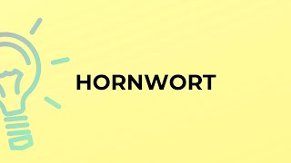 What is the meaning of the word HORNWORT [upl. by Asilak669]