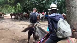 Horse riding parque natural Tayrona Colombia [upl. by Chastain]