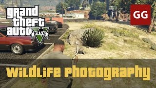 Wildlife Photography Challenge — GTA 5 [upl. by Kitchen]