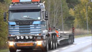 Scania 143E 500 SUPER \8 Sound [upl. by Gleda]