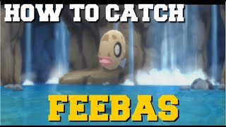 HOW TO CATCH FEEBAS IN POKEMON BRILLIANT DIAMOND AND SHINING PEARL [upl. by Dosi]