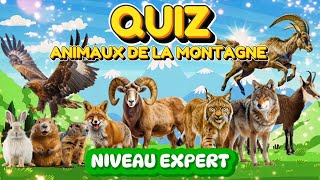 QUIZ ANIMAUX DE LA MONTAGNE  Niveau expert  LUDOKIDS [upl. by Shuping893]