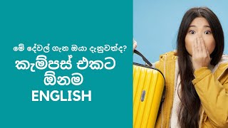 English for university studentsenglishuniversityundergraduates  මේ දේවල් ගැන ඔබ දැනුවත්ද❤️✨️ [upl. by Weight]