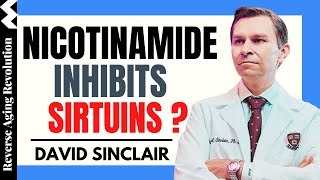 DAVID SINCLAIR “Nicotinamide Inhibit Sirtuins”  Dr David Sinclair Interview Clips [upl. by Isa]