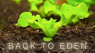 Back To Eden Gardening Documentary Film  How to Grow a Regenerative Organic Garden [upl. by Daza]